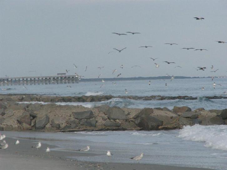Pawleys Island, SC